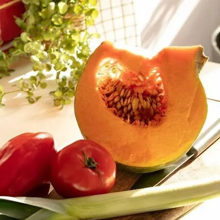 Apartment Miejski Czar Retro. Plac Zbawiciela! Warsaw